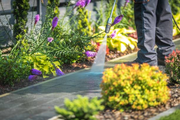 Best Boat and Dock Cleaning  in Lindenwold, NJ